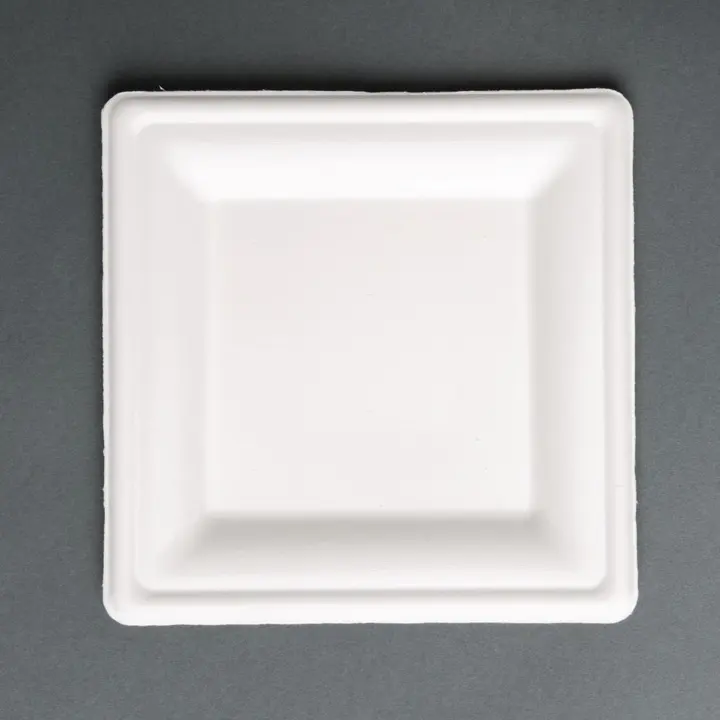 Fiesta Compostable Bagasse Square Plates 261mm (50 Pack)