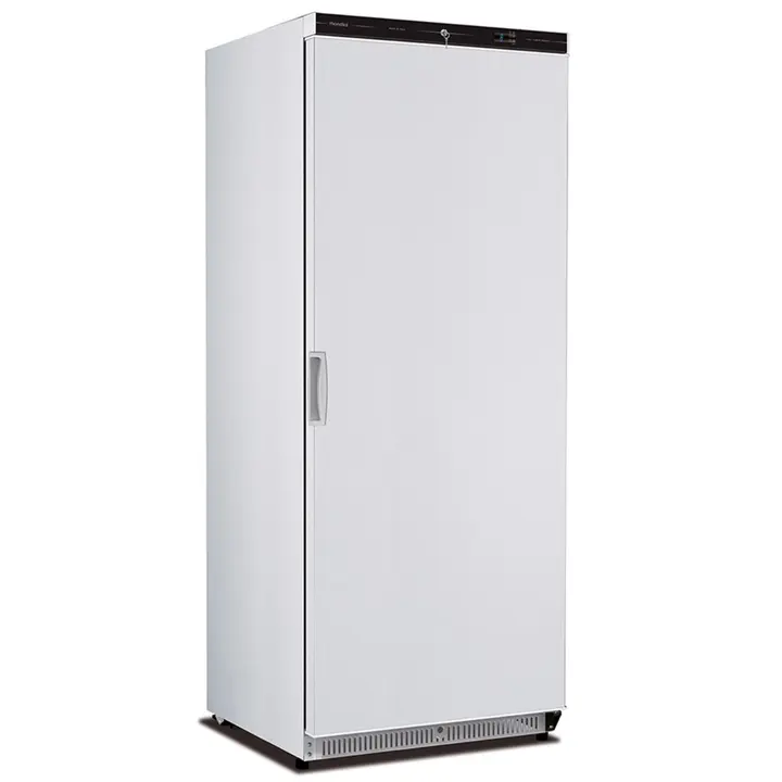 MONDIAL MONDIAL Upright 580L Single Hinged Door Freezer KICN60LT