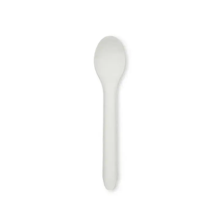 Compostable Paper Spoon X 1000