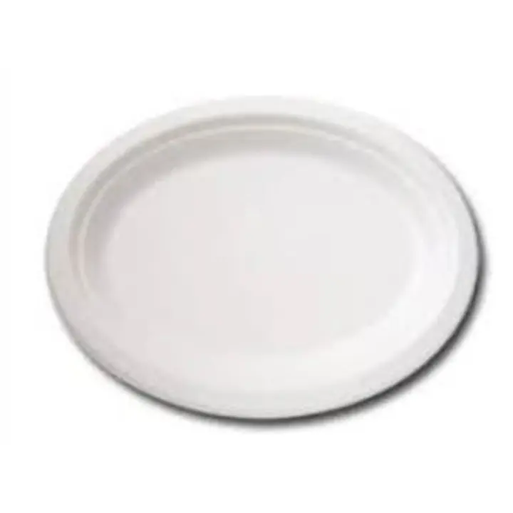 10" White Bagasse Oval Plate