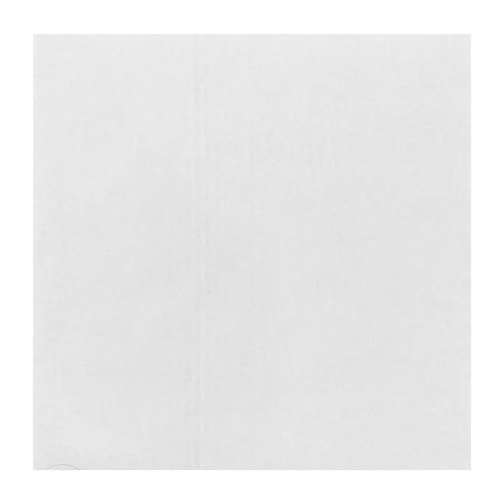 Fiesta Compostable Pizza Box Liners 12" (200 Pack)