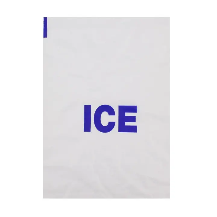 Large Ice Bag 12"x18"