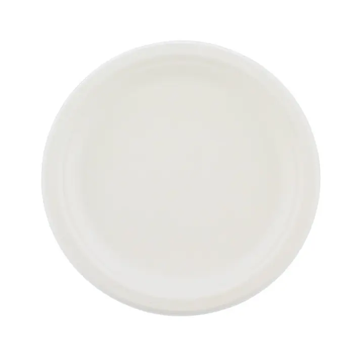 9" Bagasse Plate (500)