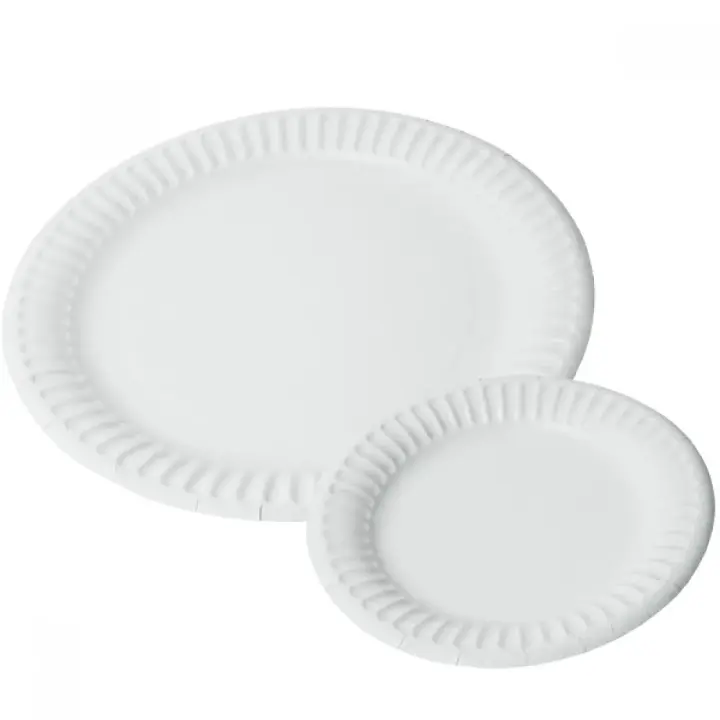 Compostable White Paper Plates 9" (100 Pack)